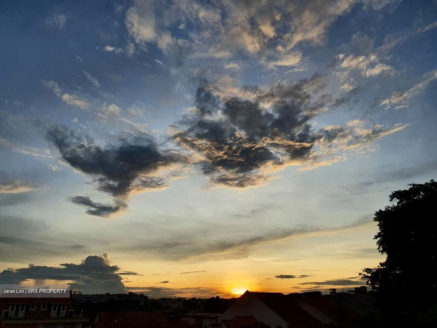 Sunrise Gardens (D28), Condominium #503878901